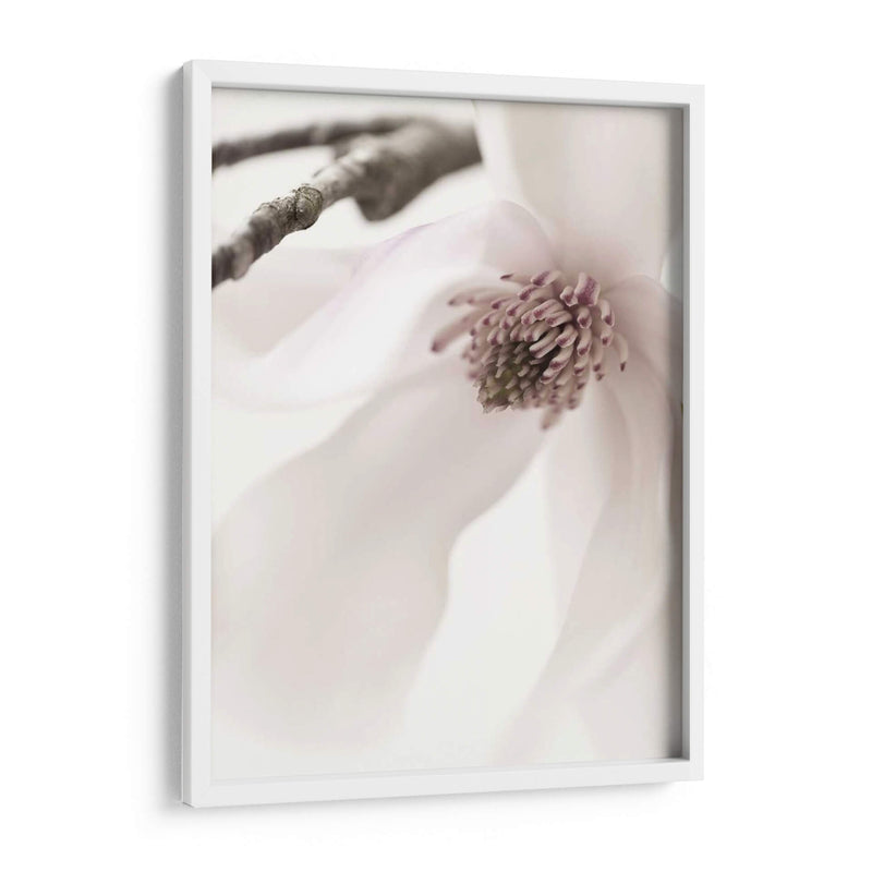 Magnolia Rubor I - Christine Zalewski | Cuadro decorativo de Canvas Lab