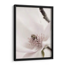 Magnolia Blush Ii - Christine Zalewski | Cuadro decorativo de Canvas Lab