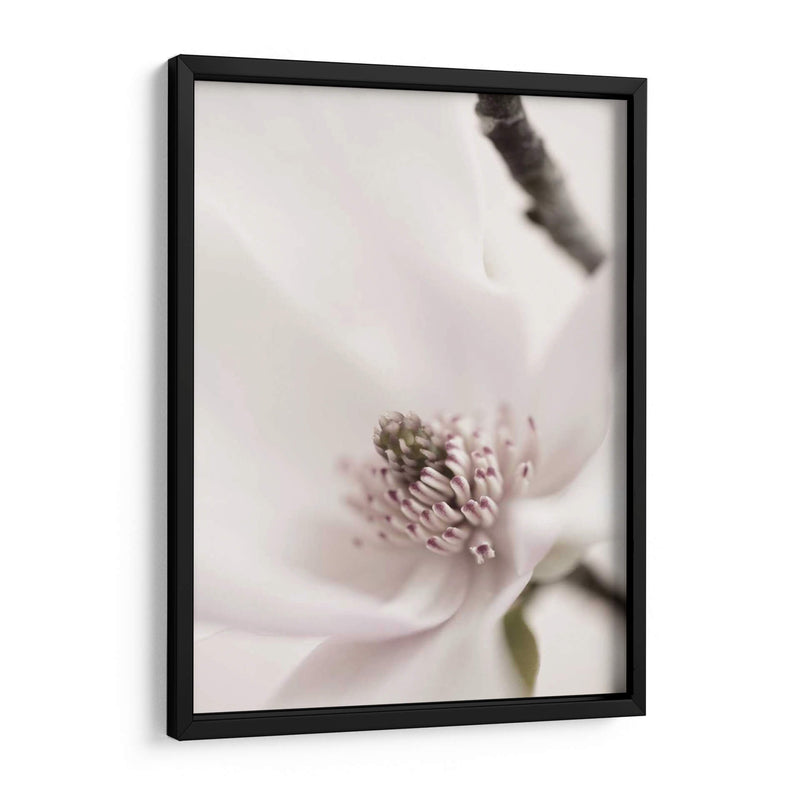 Magnolia Blush Ii - Christine Zalewski | Cuadro decorativo de Canvas Lab