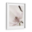Magnolia Blush Ii - Christine Zalewski | Cuadro decorativo de Canvas Lab