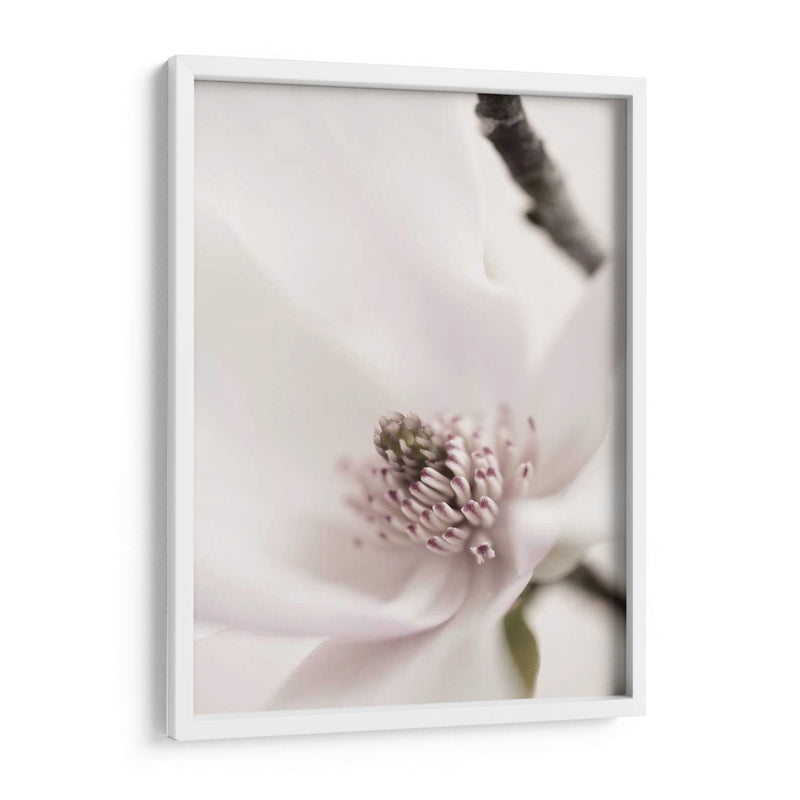 Magnolia Blush Ii - Christine Zalewski | Cuadro decorativo de Canvas Lab