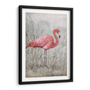 Flamingo Americano I - Tim OToole | Cuadro decorativo de Canvas Lab