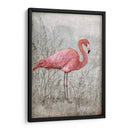 Flamingo Americano I - Tim OToole | Cuadro decorativo de Canvas Lab