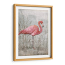 Flamingo Americano I - Tim OToole | Cuadro decorativo de Canvas Lab