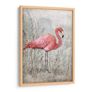 Flamingo Americano I - Tim OToole | Cuadro decorativo de Canvas Lab