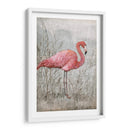Flamingo Americano I - Tim OToole | Cuadro decorativo de Canvas Lab