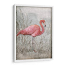 Flamingo Americano I - Tim OToole | Cuadro decorativo de Canvas Lab