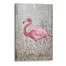 Flamingo Ii Americano - Tim OToole | Cuadro decorativo de Canvas Lab