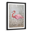 Flamingo Ii Americano - Tim OToole | Cuadro decorativo de Canvas Lab