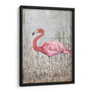 Flamingo Ii Americano - Tim OToole | Cuadro decorativo de Canvas Lab