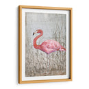 Flamingo Ii Americano - Tim OToole | Cuadro decorativo de Canvas Lab