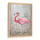 Flamingo Ii Americano - Tim OToole | Cuadro decorativo de Canvas Lab
