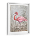 Flamingo Ii Americano - Tim OToole | Cuadro decorativo de Canvas Lab
