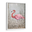 Flamingo Ii Americano - Tim OToole | Cuadro decorativo de Canvas Lab