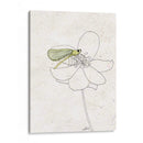 Coro De Verano Ii - Alicia Ludwig | Cuadro decorativo de Canvas Lab