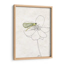 Coro De Verano Ii - Alicia Ludwig | Cuadro decorativo de Canvas Lab