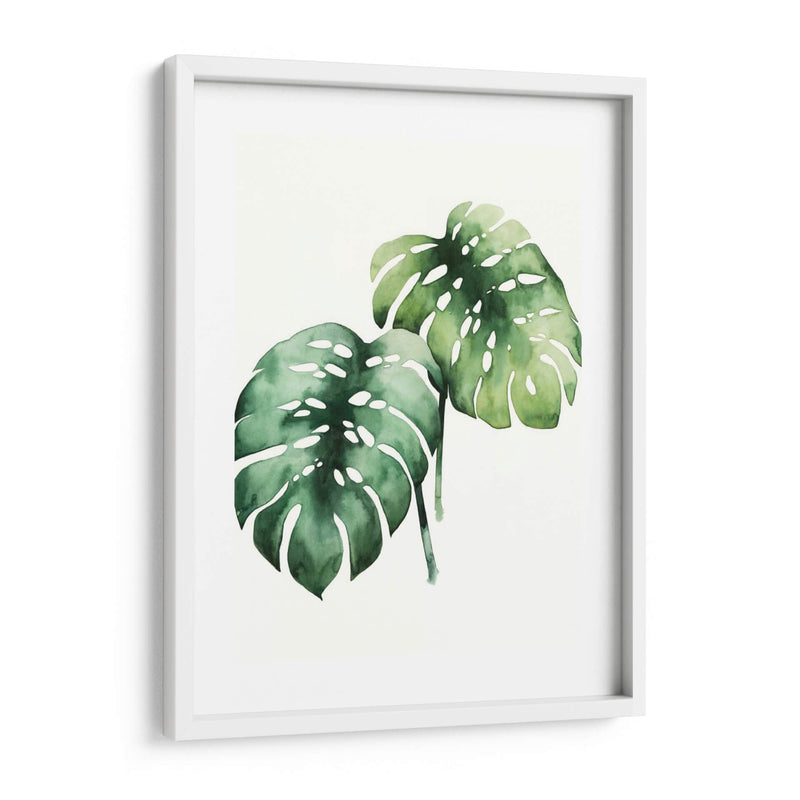 Planta Tropical I - Grace Popp | Cuadro decorativo de Canvas Lab