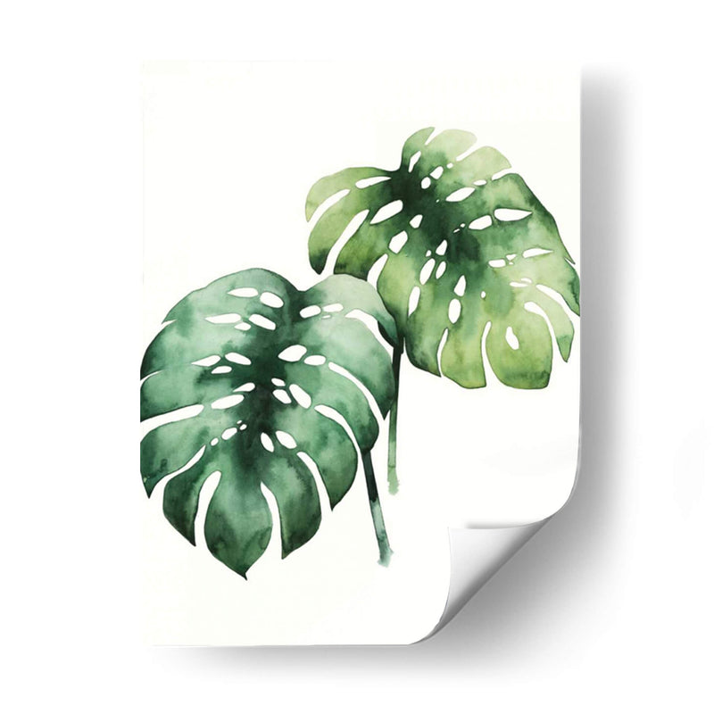 Planta Tropical I - Grace Popp | Cuadro decorativo de Canvas Lab