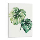 Planta Tropical Ii - Grace Popp | Cuadro decorativo de Canvas Lab