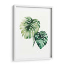 Planta Tropical Ii - Grace Popp | Cuadro decorativo de Canvas Lab