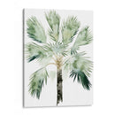 Palma De Acuarela De Los Trópicos I - Grace Popp | Cuadro decorativo de Canvas Lab