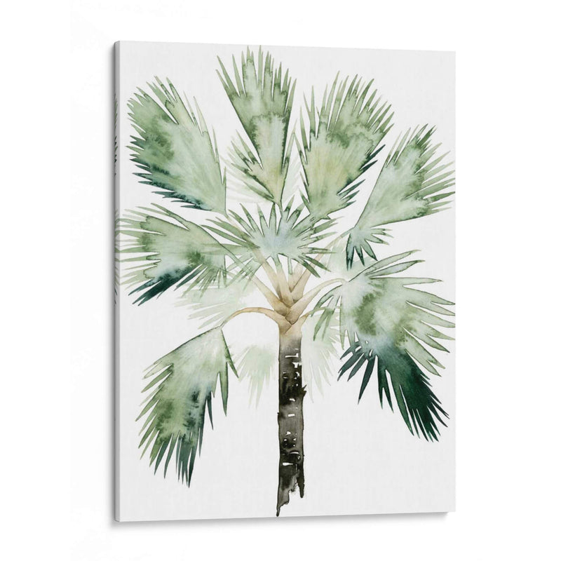 Palma De Acuarela De Los Trópicos I - Grace Popp | Cuadro decorativo de Canvas Lab