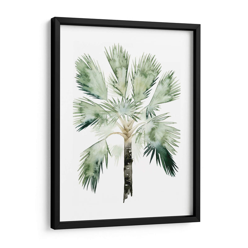Palma De Acuarela De Los Trópicos I - Grace Popp | Cuadro decorativo de Canvas Lab