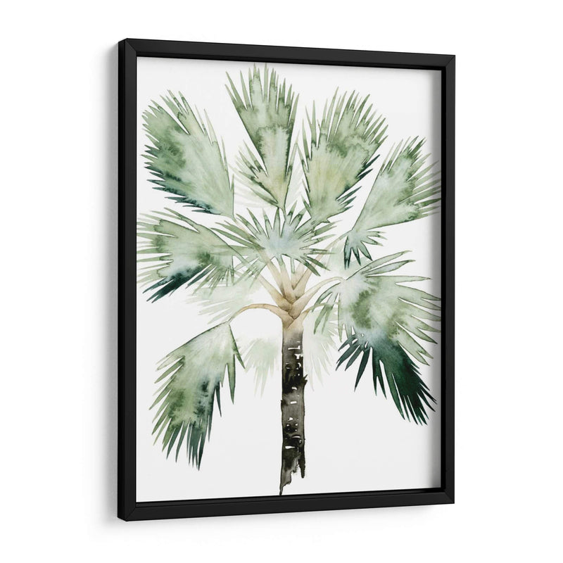 Palma De Acuarela De Los Trópicos I - Grace Popp | Cuadro decorativo de Canvas Lab