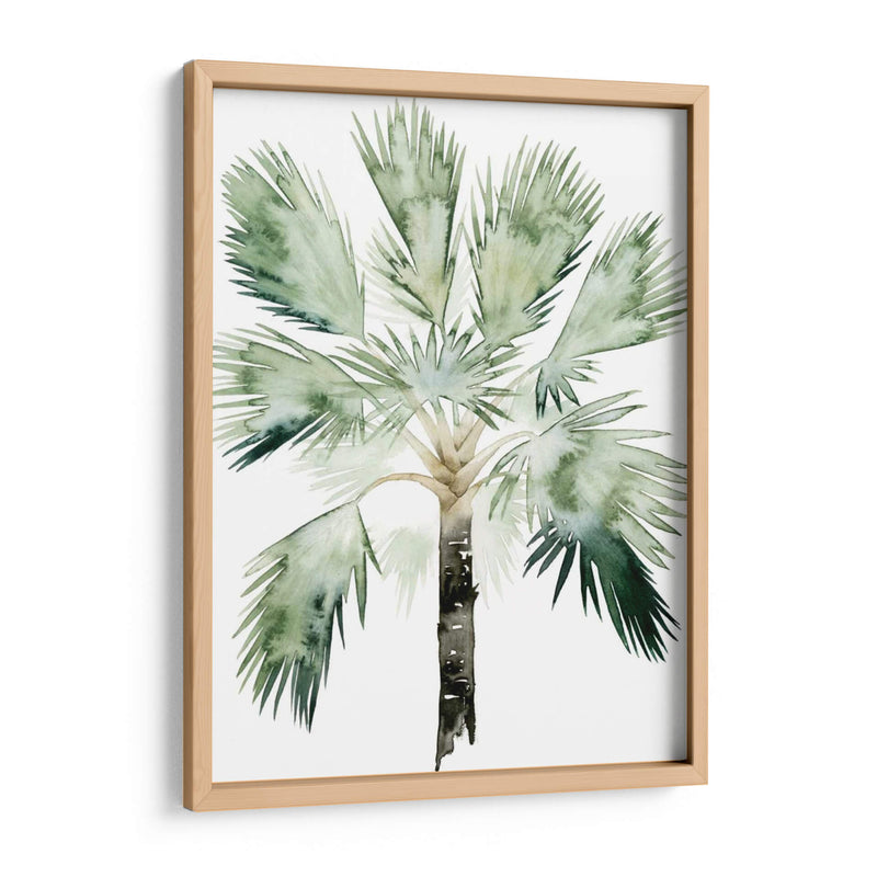 Palma De Acuarela De Los Trópicos I - Grace Popp | Cuadro decorativo de Canvas Lab