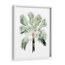 Palma De Acuarela De Los Trópicos I - Grace Popp | Cuadro decorativo de Canvas Lab