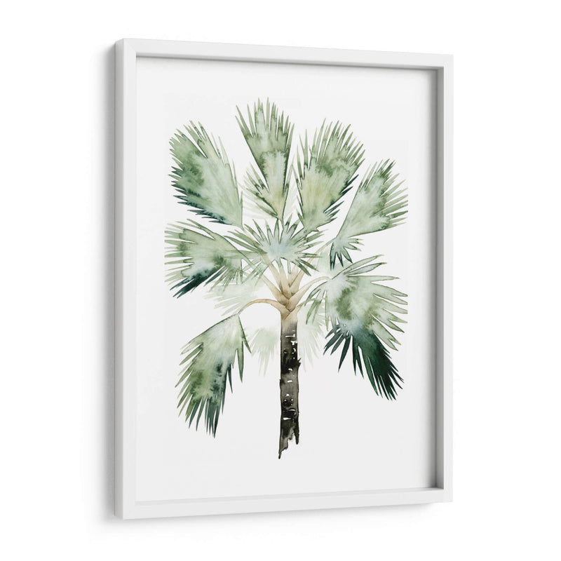 Palma De Acuarela De Los Trópicos I - Grace Popp | Cuadro decorativo de Canvas Lab
