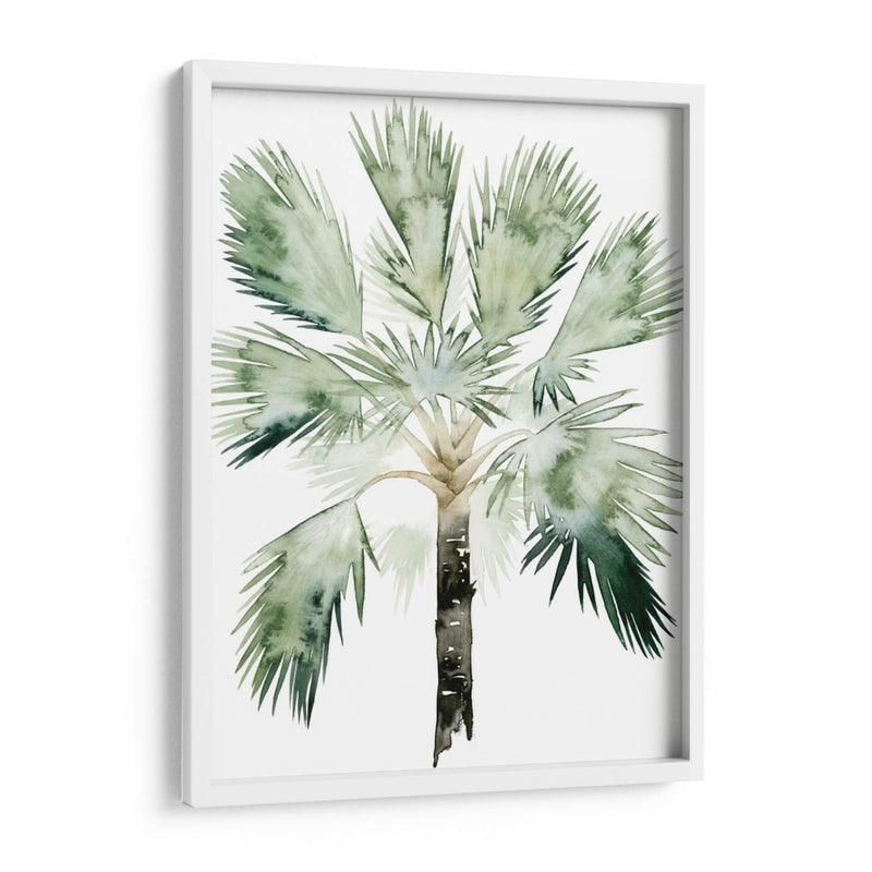 Palma De Acuarela De Los Trópicos I - Grace Popp | Cuadro decorativo de Canvas Lab
