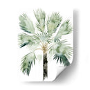 Palma De Acuarela De Los Trópicos I - Grace Popp | Cuadro decorativo de Canvas Lab