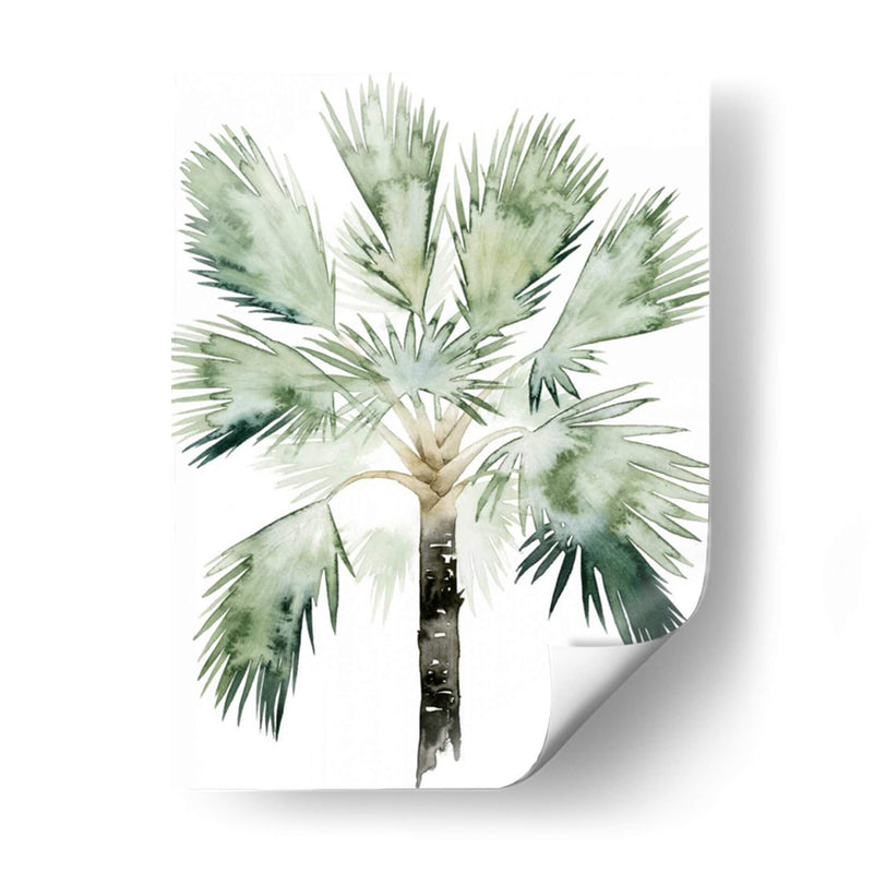 Palma De Acuarela De Los Trópicos I - Grace Popp | Cuadro decorativo de Canvas Lab
