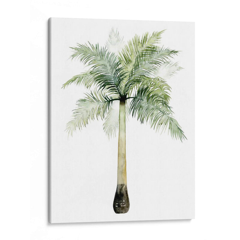 Palma Acuarela De Los Trópicos Ii. - Grace Popp | Cuadro decorativo de Canvas Lab