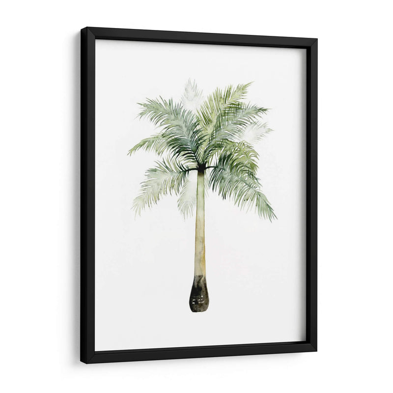 Palma Acuarela De Los Trópicos Ii. - Grace Popp | Cuadro decorativo de Canvas Lab