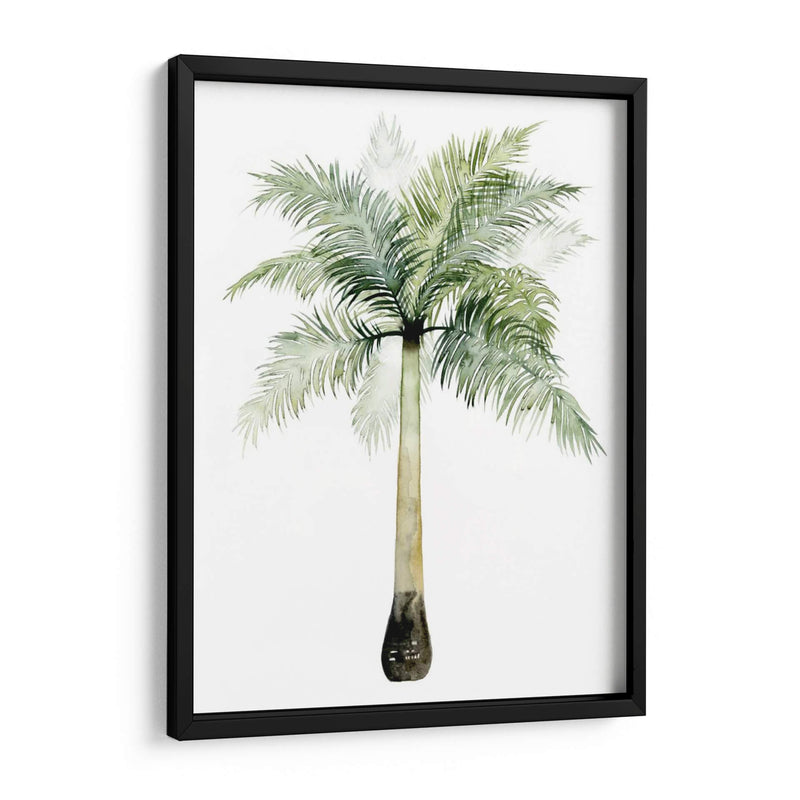 Palma Acuarela De Los Trópicos Ii. - Grace Popp | Cuadro decorativo de Canvas Lab