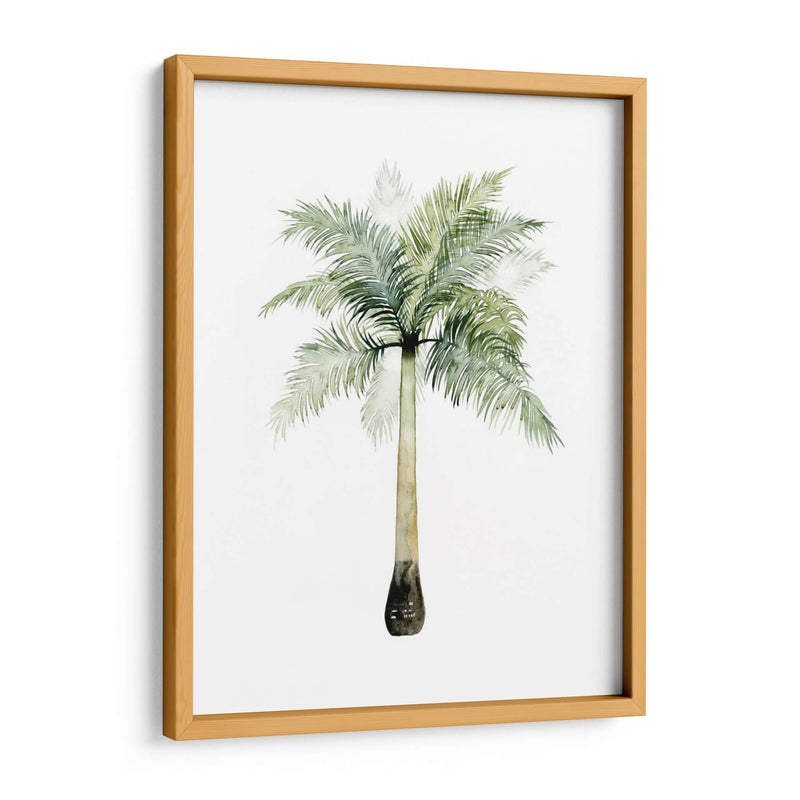 Palma Acuarela De Los Trópicos Ii. - Grace Popp | Cuadro decorativo de Canvas Lab