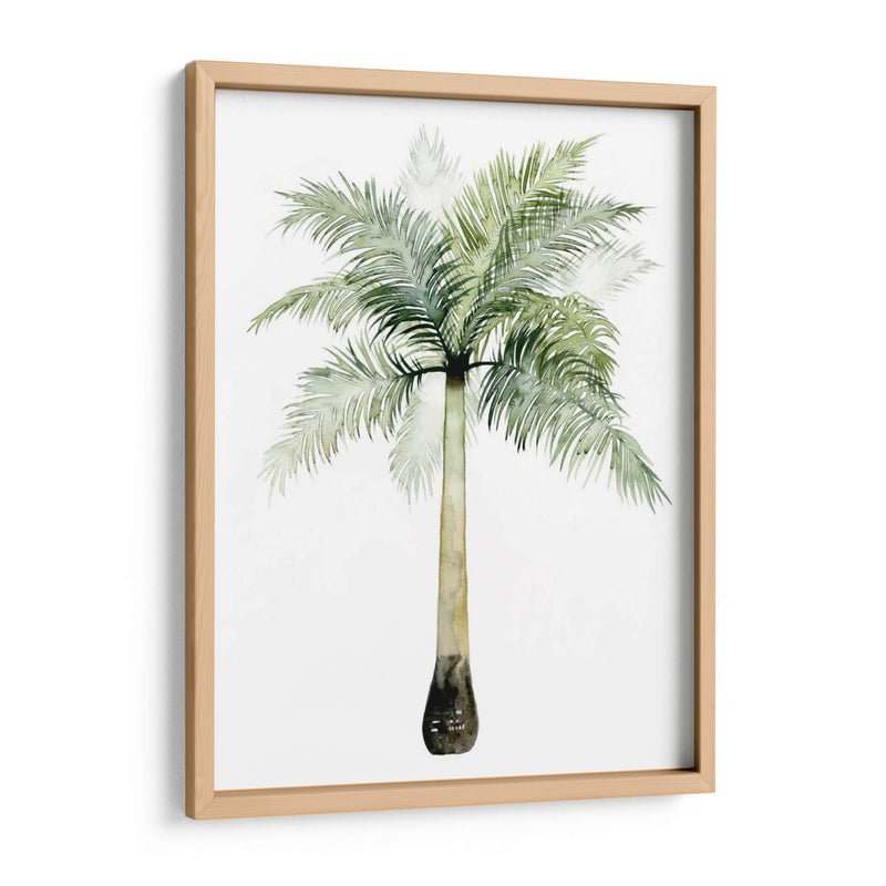 Palma Acuarela De Los Trópicos Ii. - Grace Popp | Cuadro decorativo de Canvas Lab
