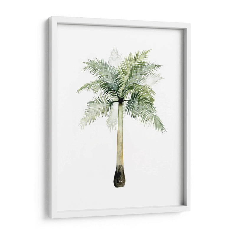Palma Acuarela De Los Trópicos Ii. - Grace Popp | Cuadro decorativo de Canvas Lab