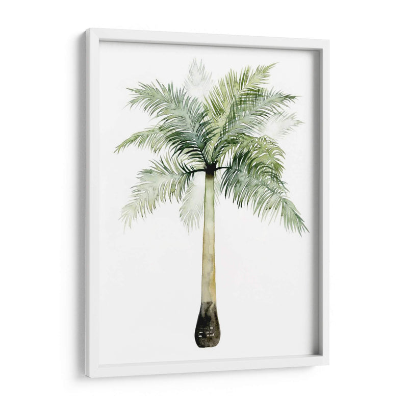 Palma Acuarela De Los Trópicos Ii. - Grace Popp | Cuadro decorativo de Canvas Lab