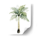 Palma Acuarela De Los Trópicos Ii. - Grace Popp | Cuadro decorativo de Canvas Lab