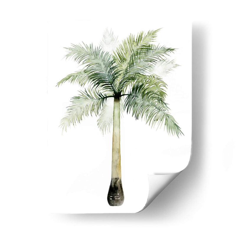 Palma Acuarela De Los Trópicos Ii. - Grace Popp | Cuadro decorativo de Canvas Lab