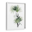 Palma En Acuarela I - Grace Popp | Cuadro decorativo de Canvas Lab