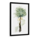 Palma En Acuarela Ii - Grace Popp | Cuadro decorativo de Canvas Lab