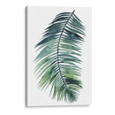Palm Vii No Atajado - Grace Popp | Cuadro decorativo de Canvas Lab