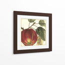 Manzana Gráfica - Vision Studio | Cuadro decorativo de Canvas Lab