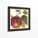 Manzana Gráfica - Vision Studio | Cuadro decorativo de Canvas Lab