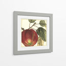 Manzana Gráfica - Vision Studio | Cuadro decorativo de Canvas Lab