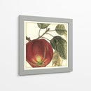 Manzana Gráfica - Vision Studio | Cuadro decorativo de Canvas Lab
